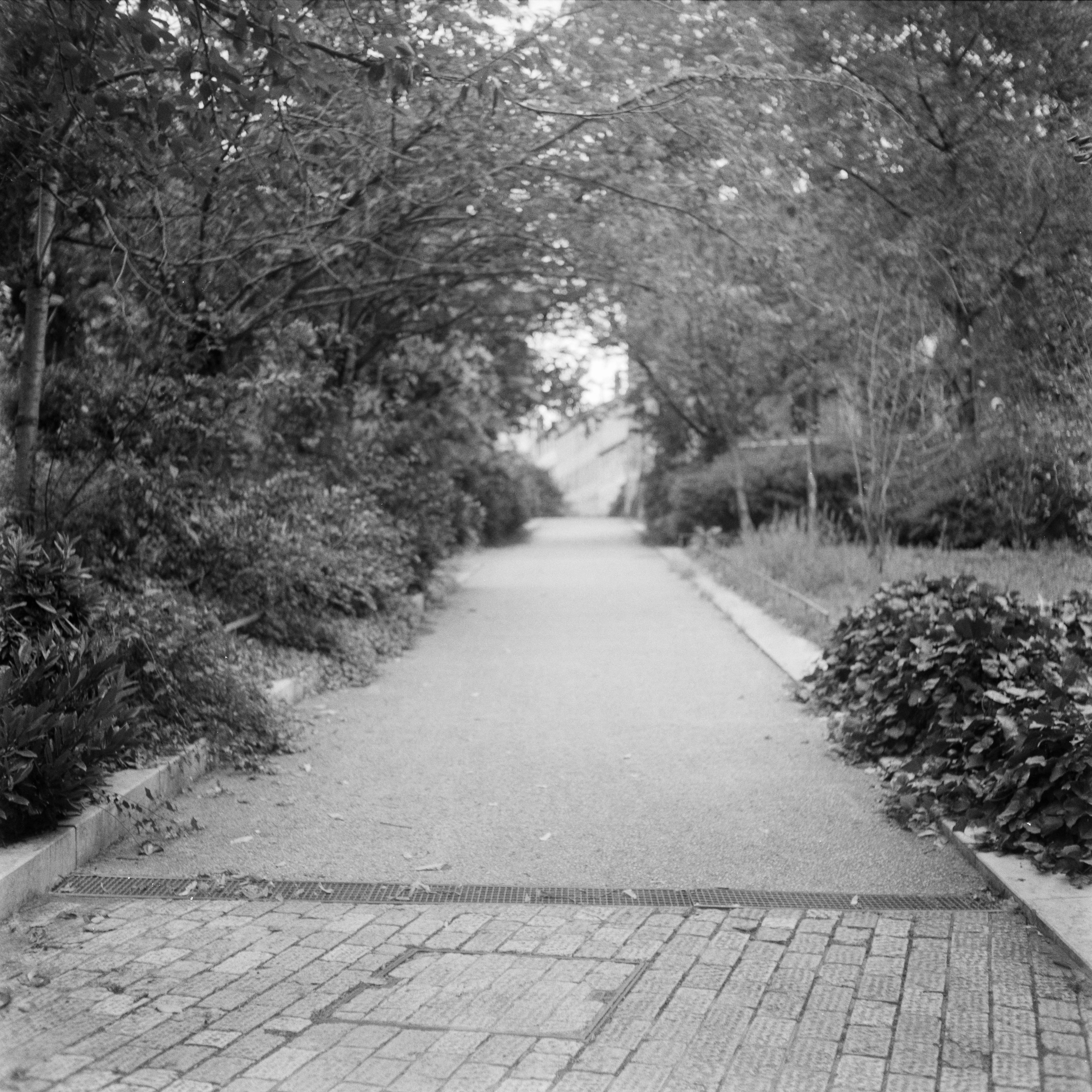 N°001 life's moments in September